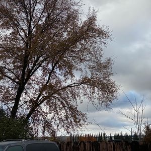 Meet your Posher, Arianna